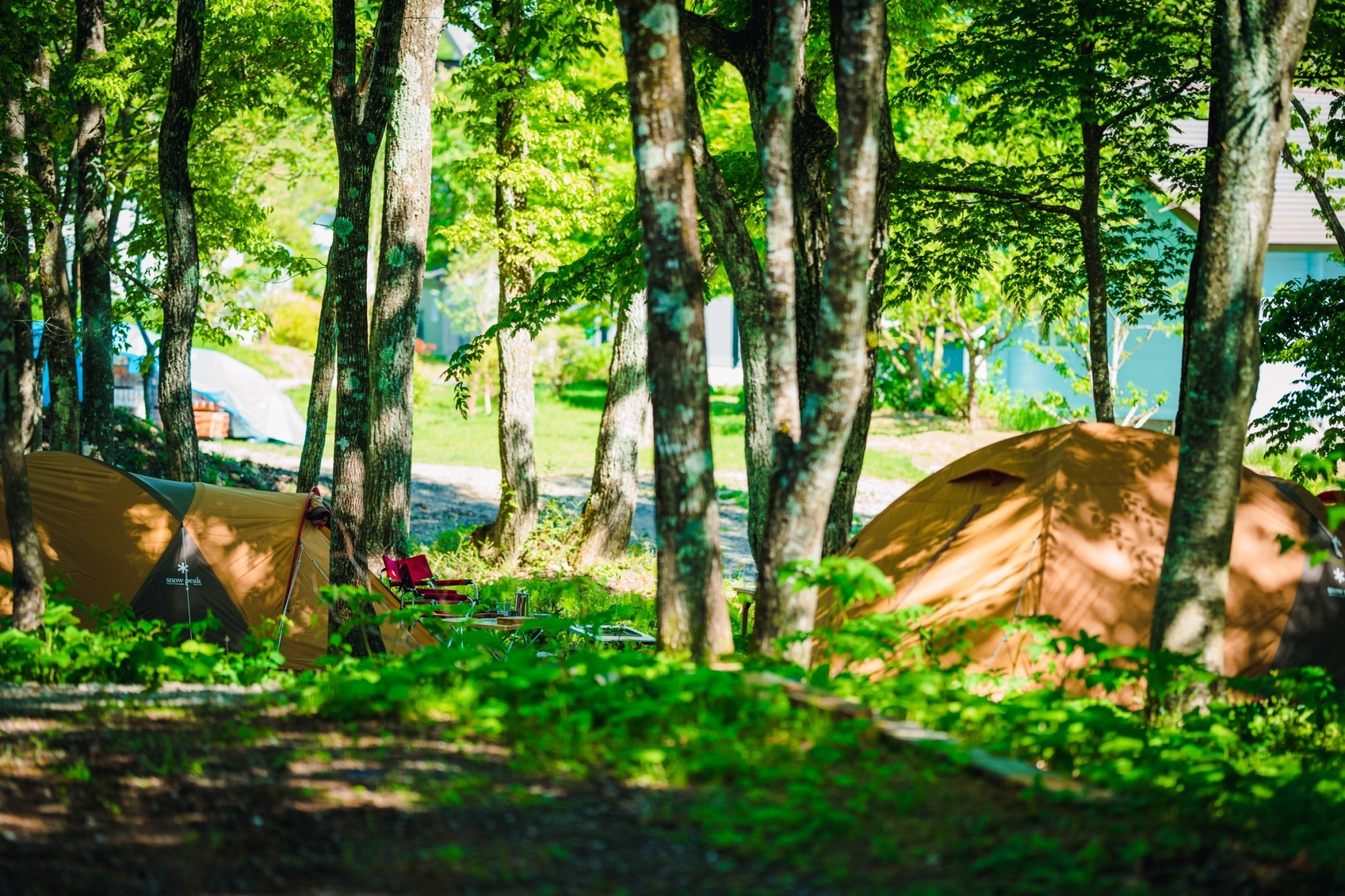 敷地内の木立の中でデイキャンプがお楽しみいただけます。